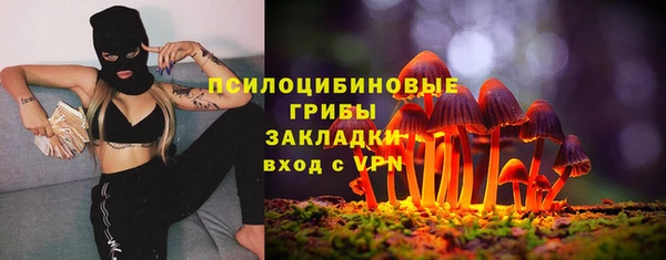 индика Белоозёрский