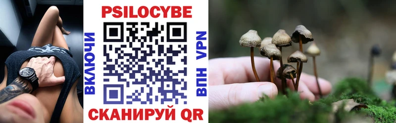 Купить Углич Галлюциногенные грибы Psilocybine cubensis